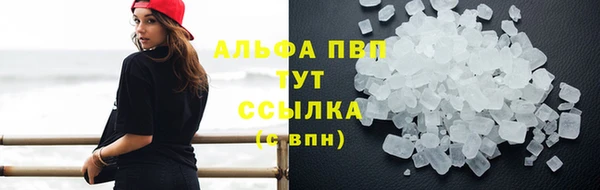 PSILOCYBIN Новодвинск