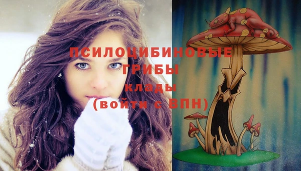 прущие крисы Новозыбков