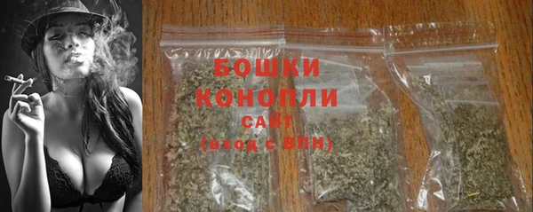 прущие крисы Новозыбков