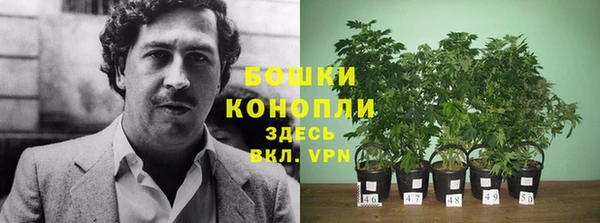 дурь Нефтегорск