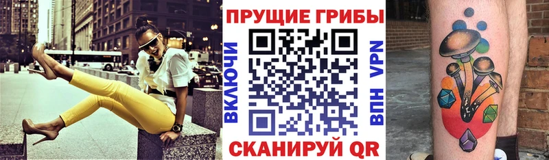 Псилоцибиновые грибы мицелий  Кириллов 
